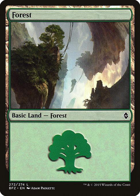 Forest (V.6)