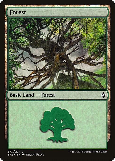 Forest (V.8)