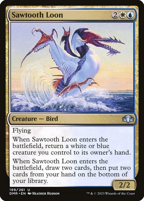 Sawtooth Loon