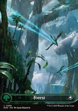 Forest (V.1)
