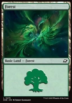 Forest (V.2)