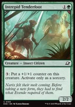 Intrepid Tenderfoot