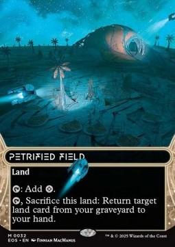 Petrified Field (V.1)