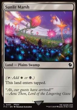 Sunlit Marsh