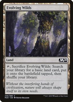 Evolving Wilds