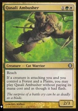 Qasali Ambusher