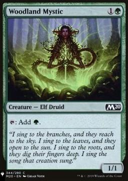 Woodland Mystic