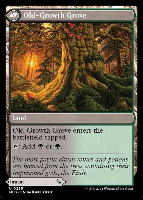 Revitalizing Repast // Old-Growth Grove (back)