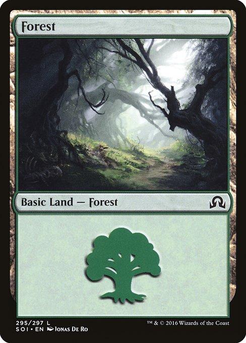 Forest (V.1)