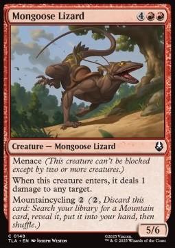 Mongoose Lizard