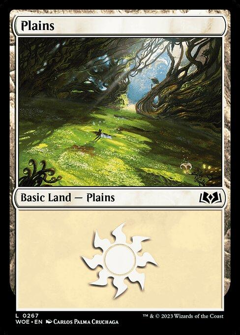 Plains (V.2)