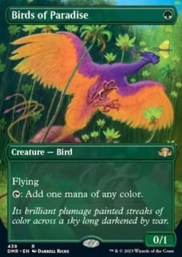 Birds of Paradise (V.2)