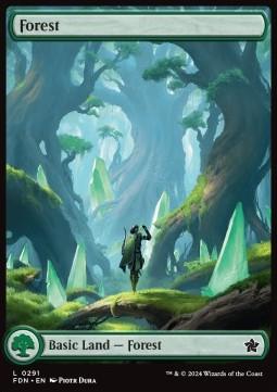 Forest (V.2)