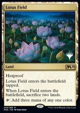 Lotus Field (V.1)