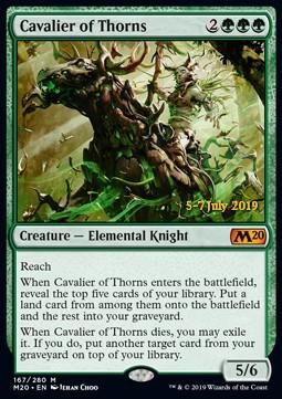 Cavalier of Thorns (V.2)
