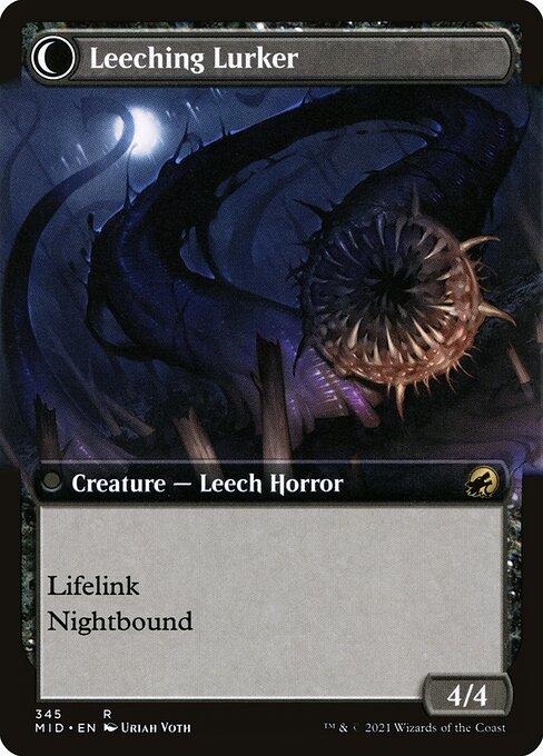 Curse of Leeches // Leeching Lurker (back)