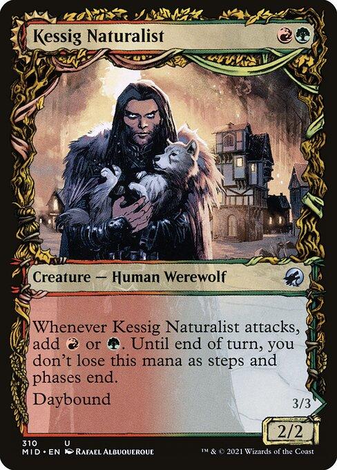 Kessig Naturalist // Lord of the Ulvenwald (front)