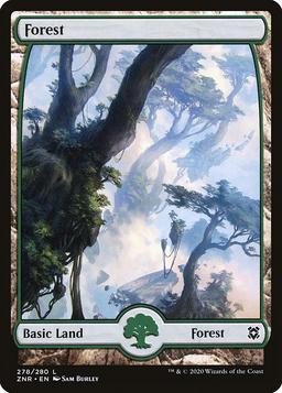 Forest (V.1)
