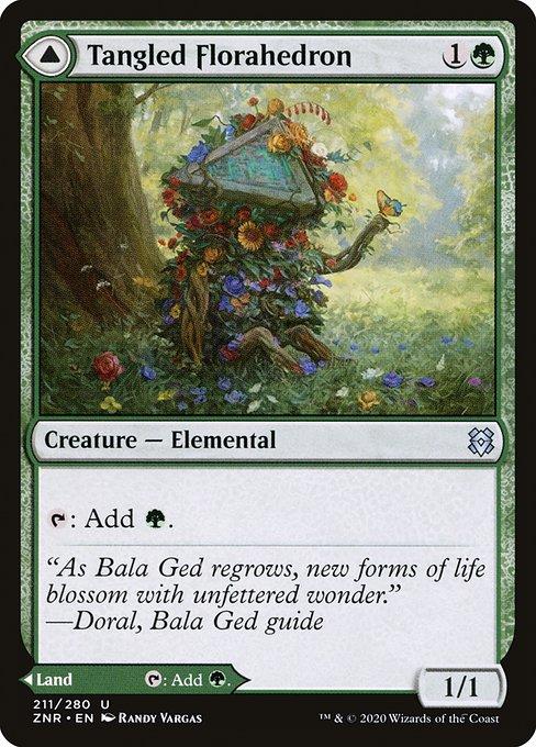 Tangled Florahedron // Tangled Vale (front)