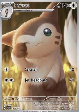 Furret 
