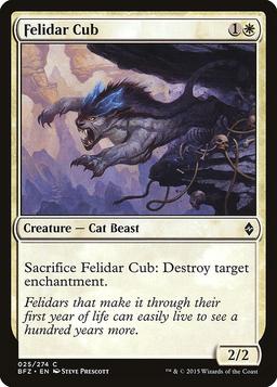 Felidar Cub