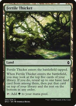 Fertile Thicket