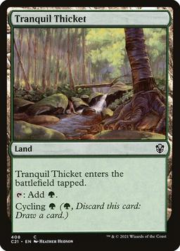 Tranquil Thicket