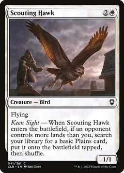 Scouting Hawk