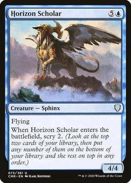 Horizon Scholar