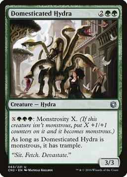 Domesticated Hydra