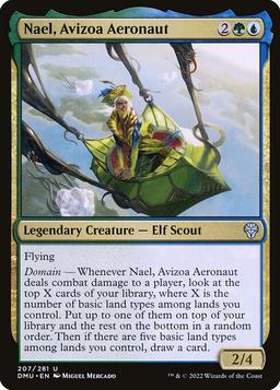 Nael, Avizoa Aeronaut