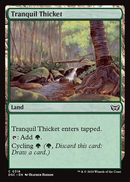 Tranquil Thicket