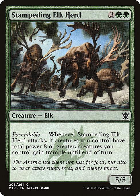 Stampeding Elk Herd