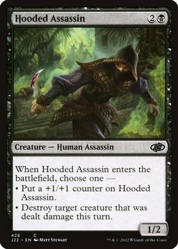 Hooded Assassin