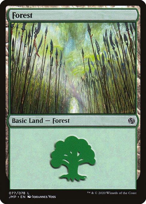 Forest (V.8)