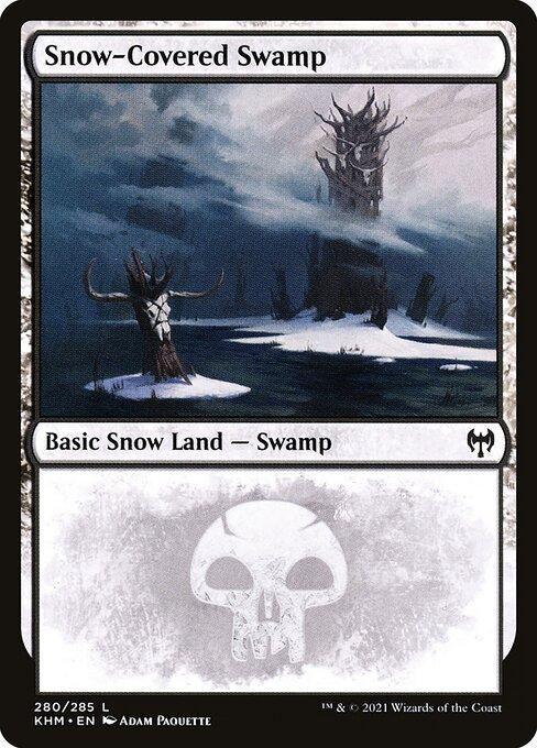 Snow-Covered Swamp (V.1)