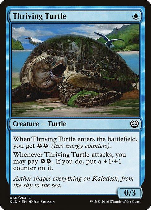 Thriving Turtle