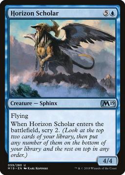 Horizon Scholar