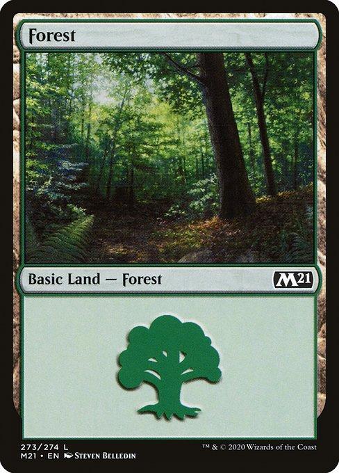 Forest (V.2)