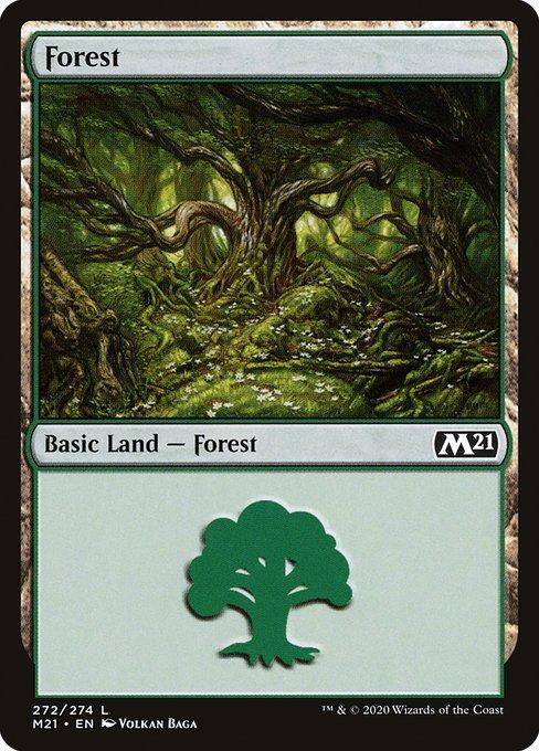 Forest (V.1)