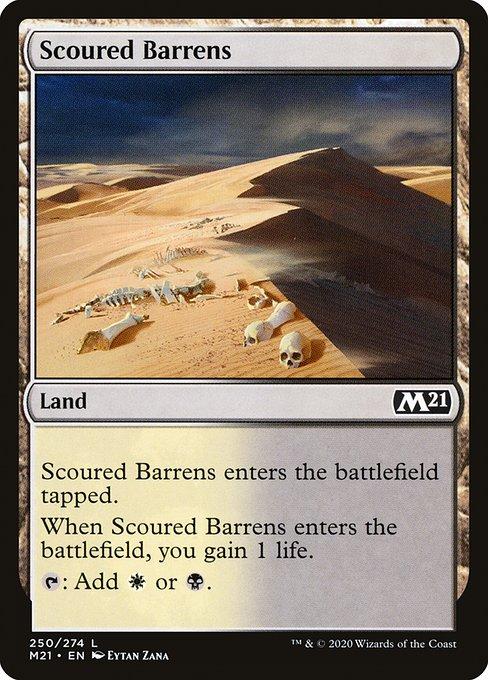 Scoured Barrens