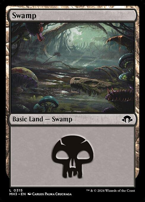 Swamp (V.3)