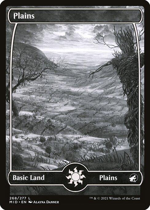 Plains (V.1)