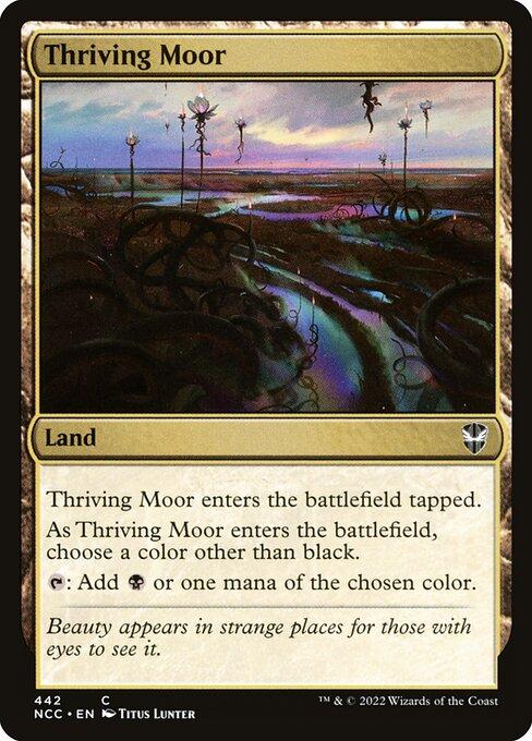 Thriving Moor