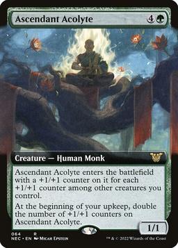 Ascendant Acolyte (V.2)