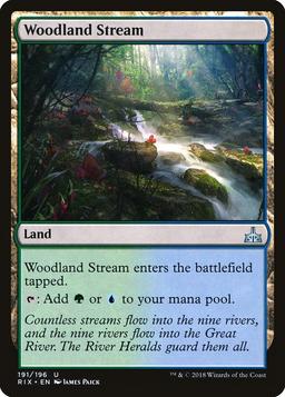 Woodland Stream