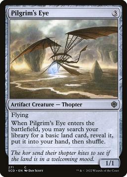 Pilgrim's Eye