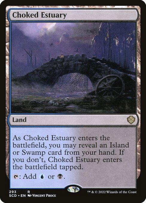 Choked Estuary