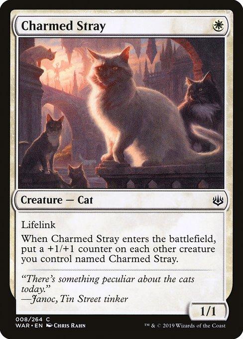 Charmed Stray