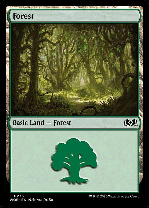 Forest (V.2)